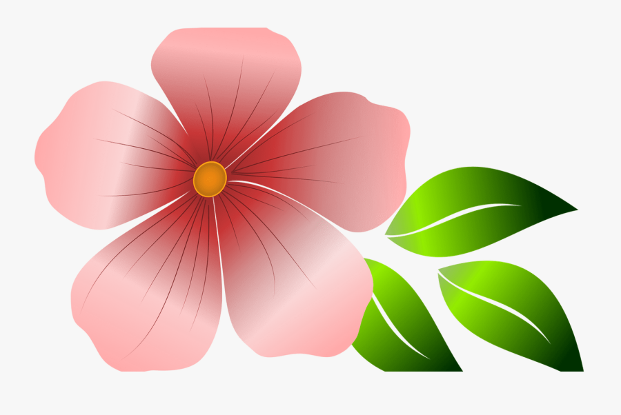 Transparent Pink Hibiscus Clipart - Pink Vector Flower, Transparent Clipart
