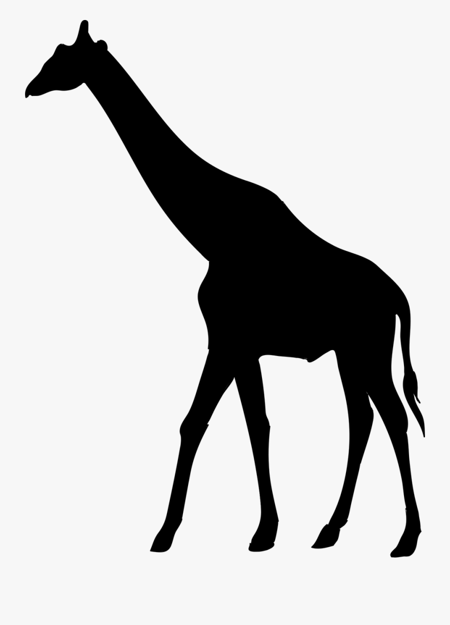Giraffe Silhouette Giraffe Animal The Silhouette Free - Safari Animal Silhouette Clip Art, Transparent Clipart
