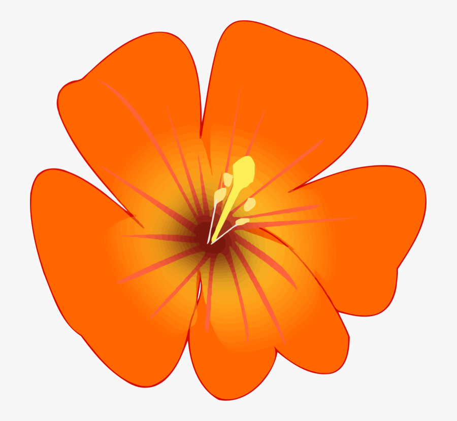 Rosemallows Flower Petal Plants - Clip Art, Transparent Clipart