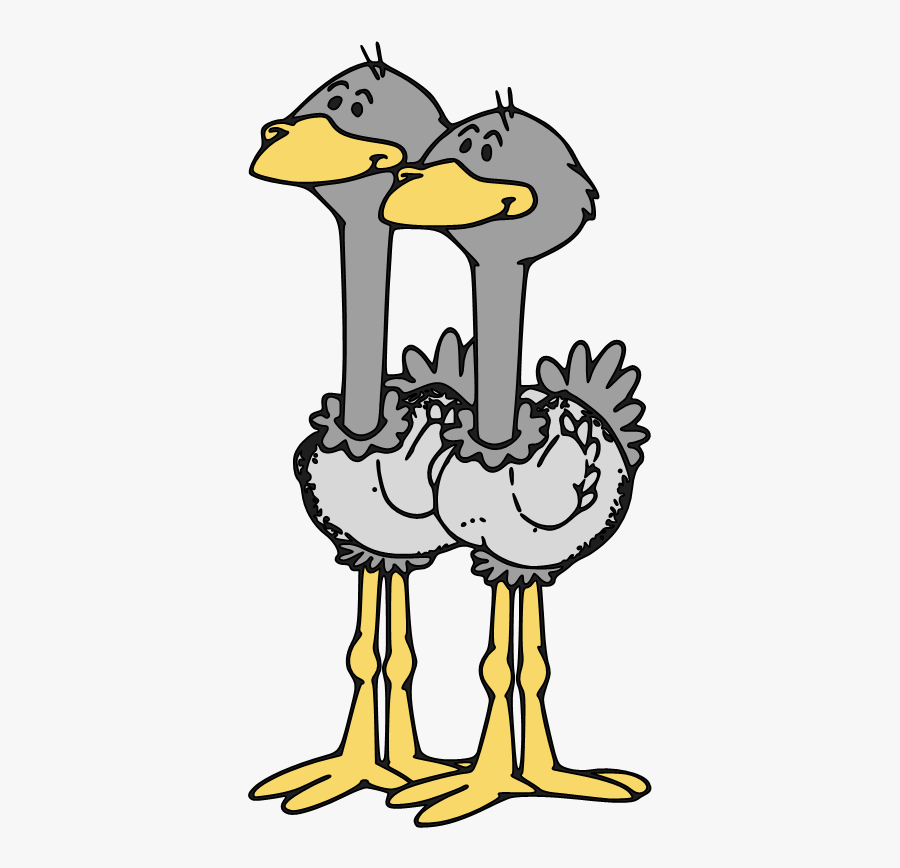 Forgetmenot Birds Octombrie, Transparent Clipart