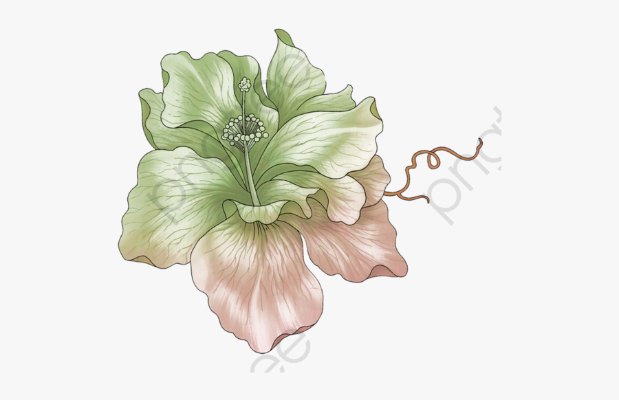 Watercolor Hibiscus - أحسنوا النوايا فعليها ترزقون, Transparent Clipart