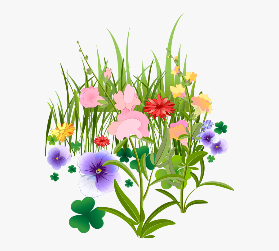 Common Hibiscus Clipart , Png Download, Transparent Clipart