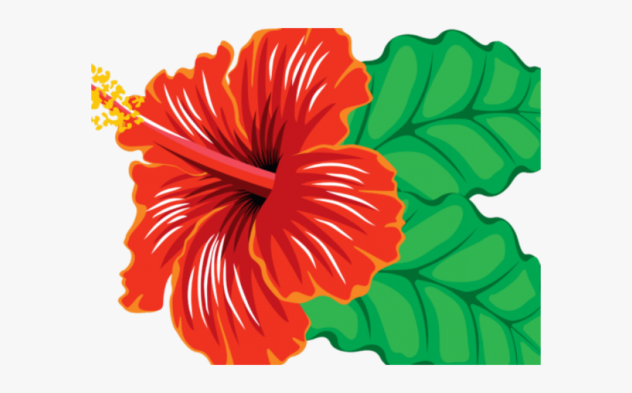 Transparent Hibiscus Clipart - Hibiscus Flower Clipart Png, Transparent Clipart