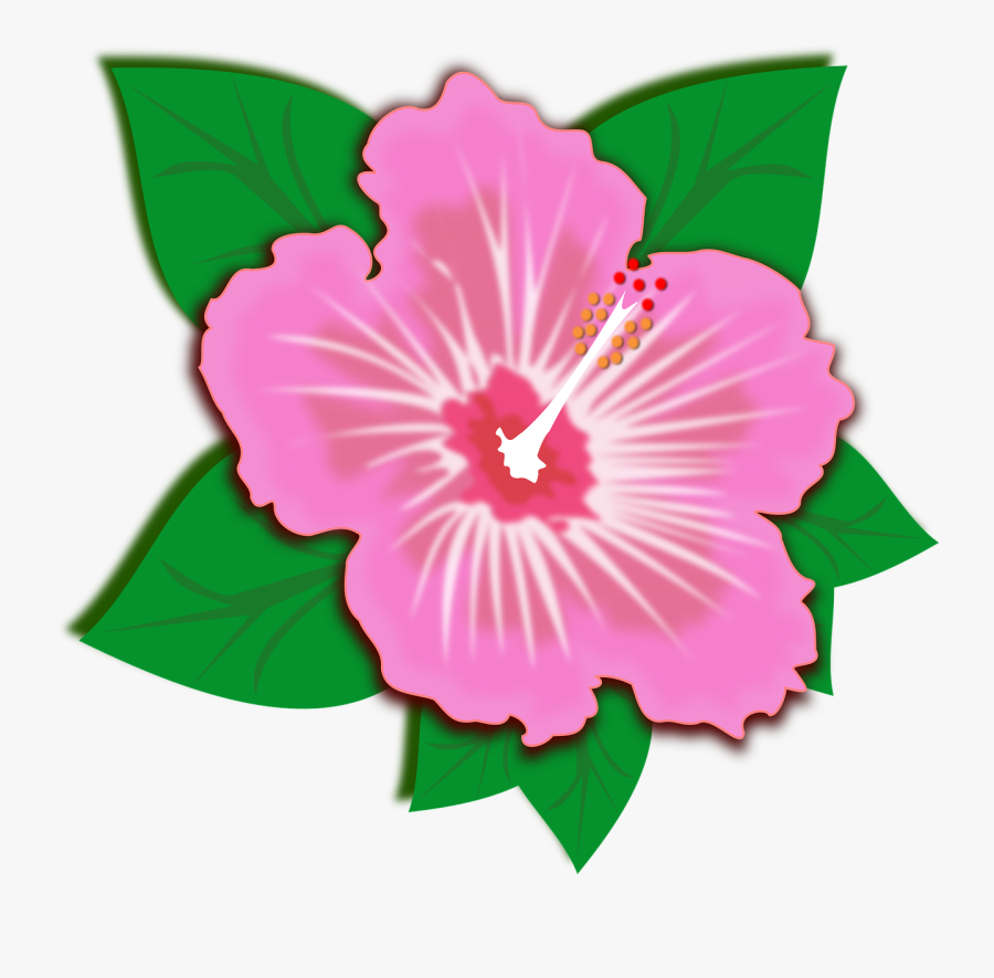Flower Hibiscus Clip Art Free Hd Wallpaper - Flor Png, Transparent Clipart