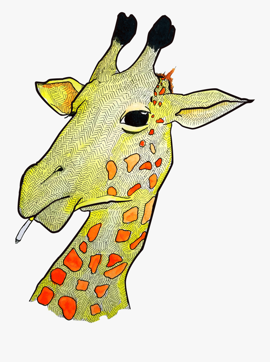 Giraffe Png, Transparent Clipart