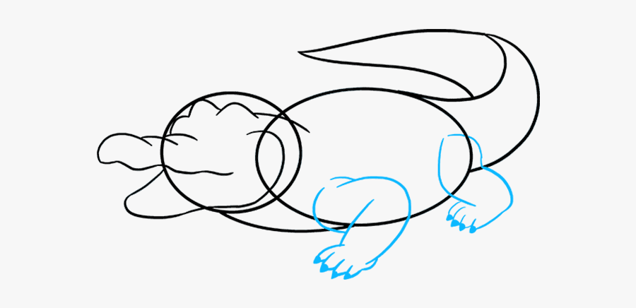 How To Draw Alligator - Buwaya Drawing, Transparent Clipart