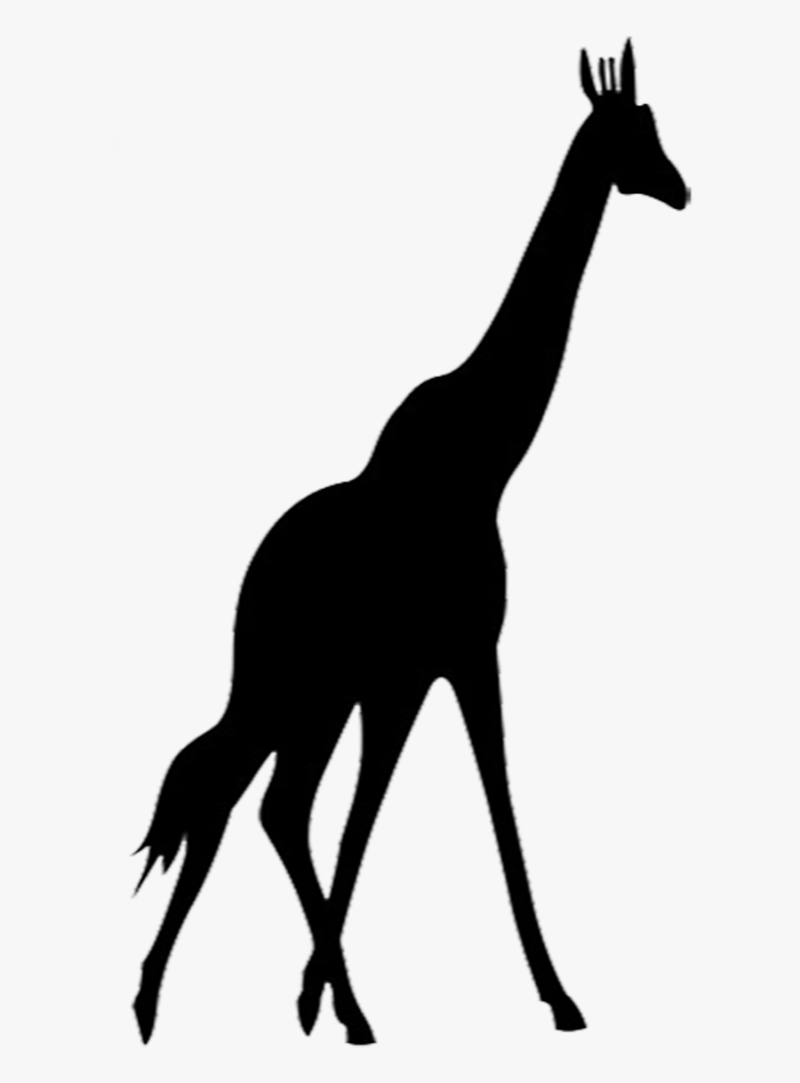 Animal In Zoo Png Silhouette, Transparent Clipart
