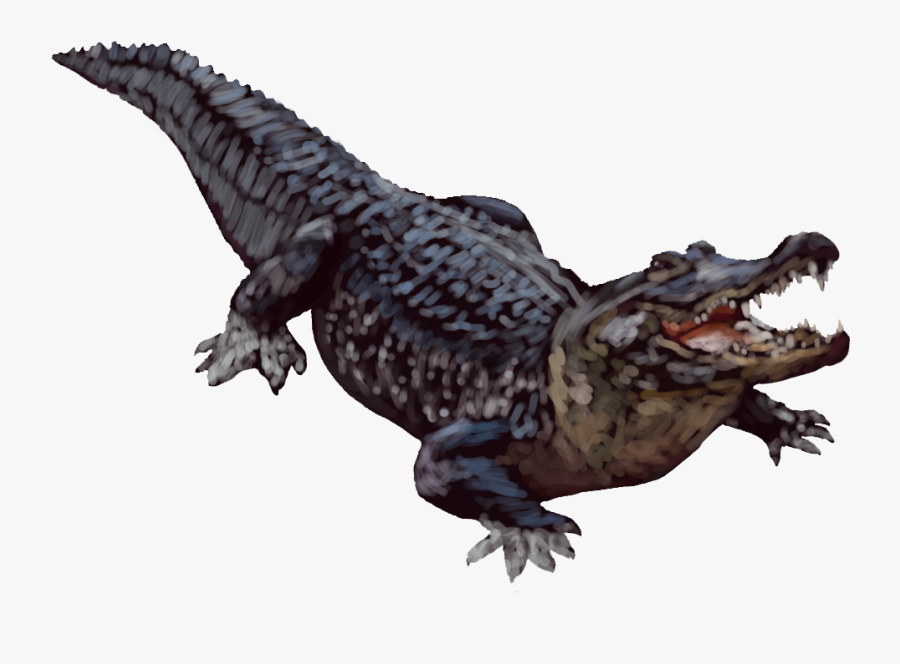 Clip Art Picture Of A Alligator - American Alligator White Background, Transparent Clipart