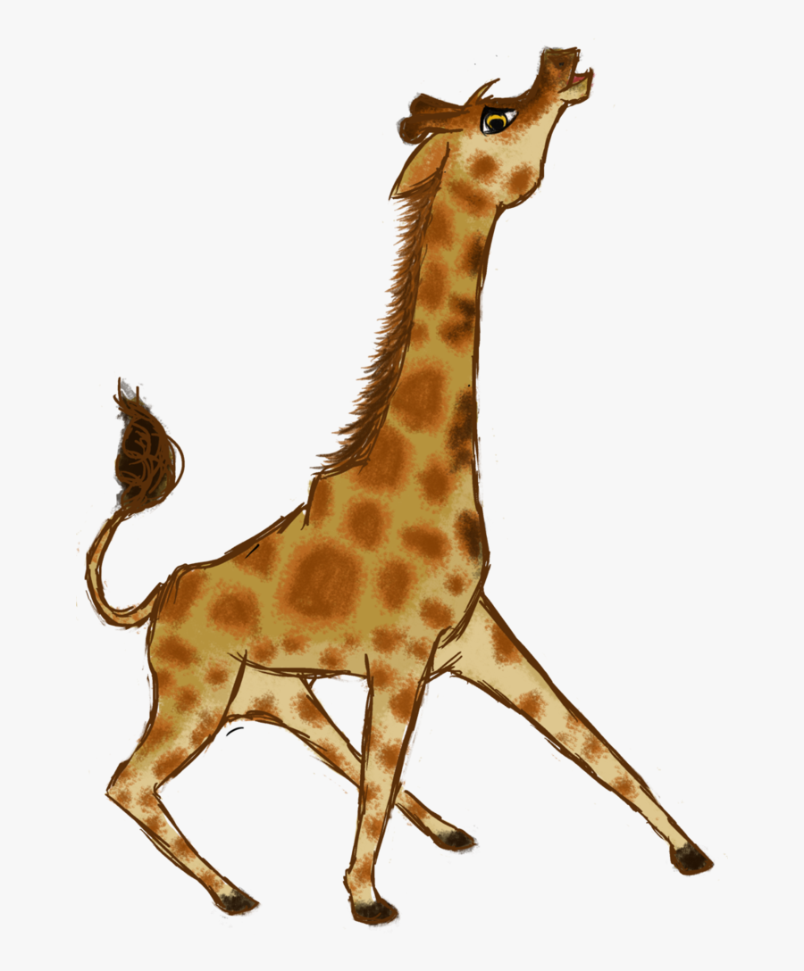 Giraffe , Png Download - Giraffe, Transparent Clipart