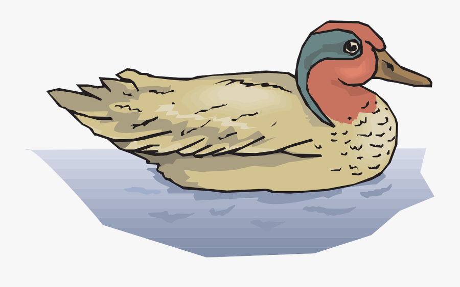 Water Bird Duck - Duck On Water Clipart, Transparent Clipart