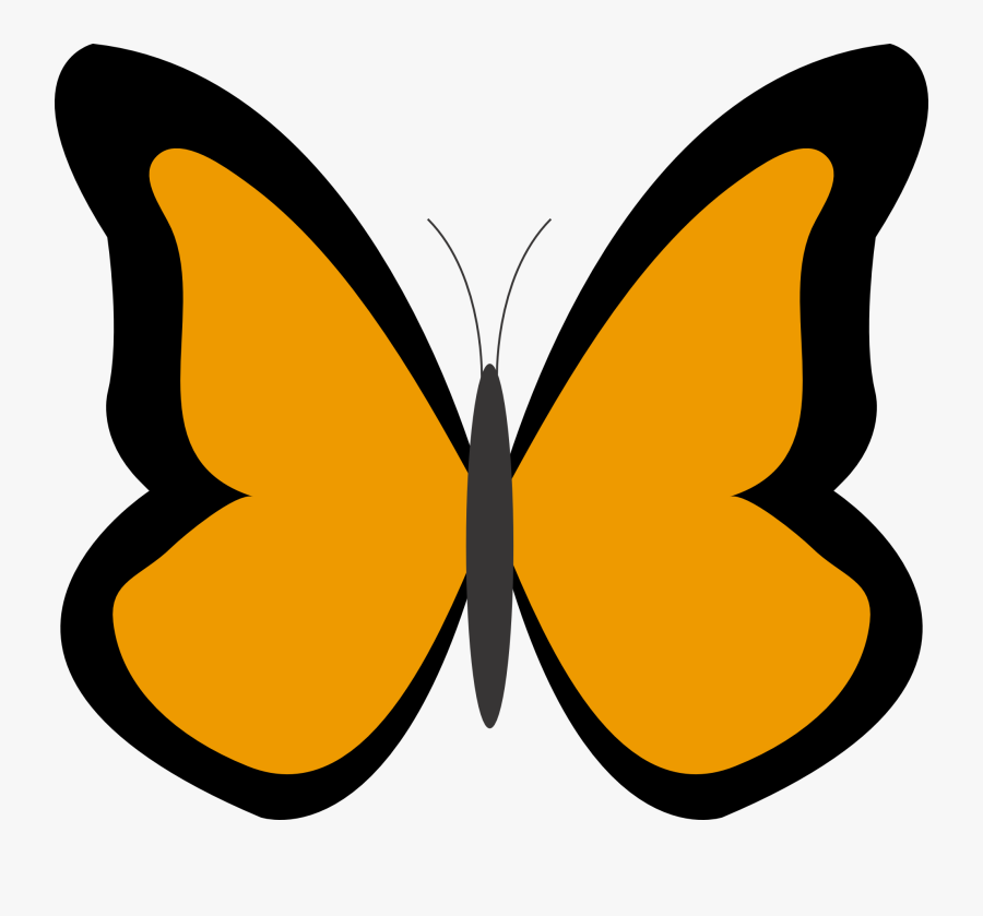 Orange Color Panda Free - Clip Art Blue Butterfly, Transparent Clipart