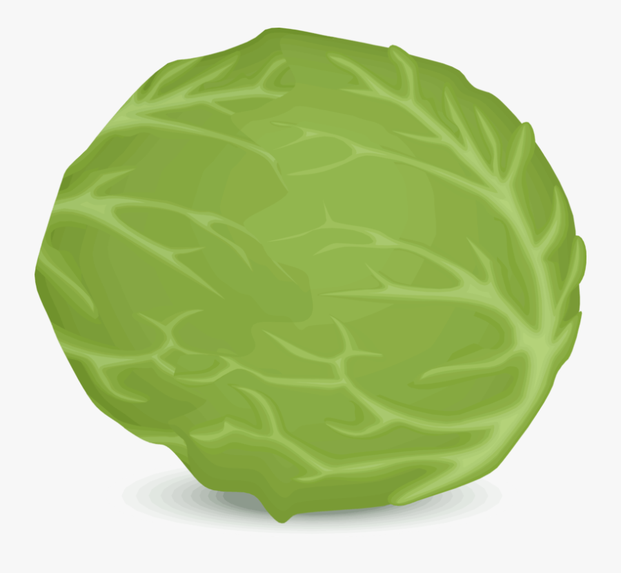 Thumb Image - Iceberg Lettuce Vector Png, Transparent Clipart