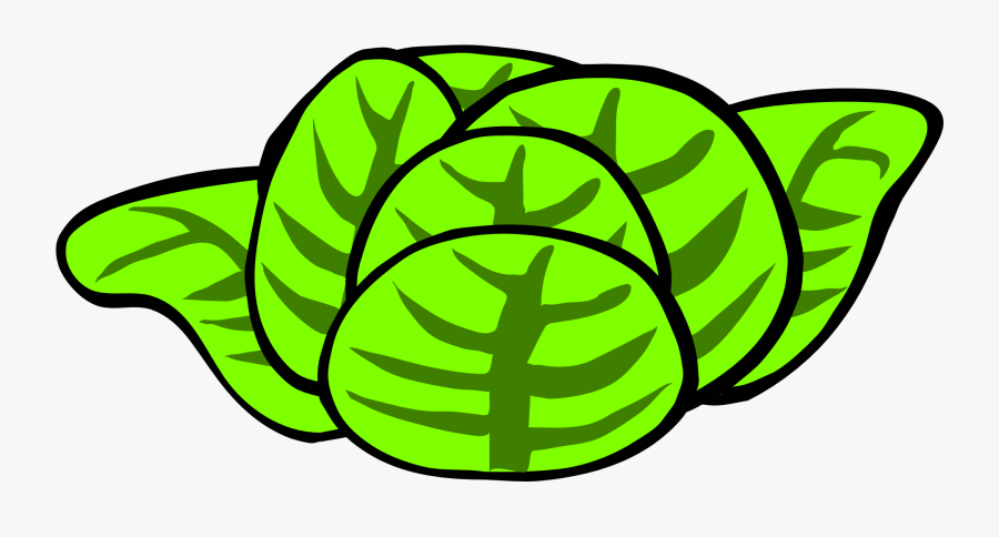 Lettuce Free Illustrations On Pixabay Clip Art - Salad Clipart, Transparent Clipart