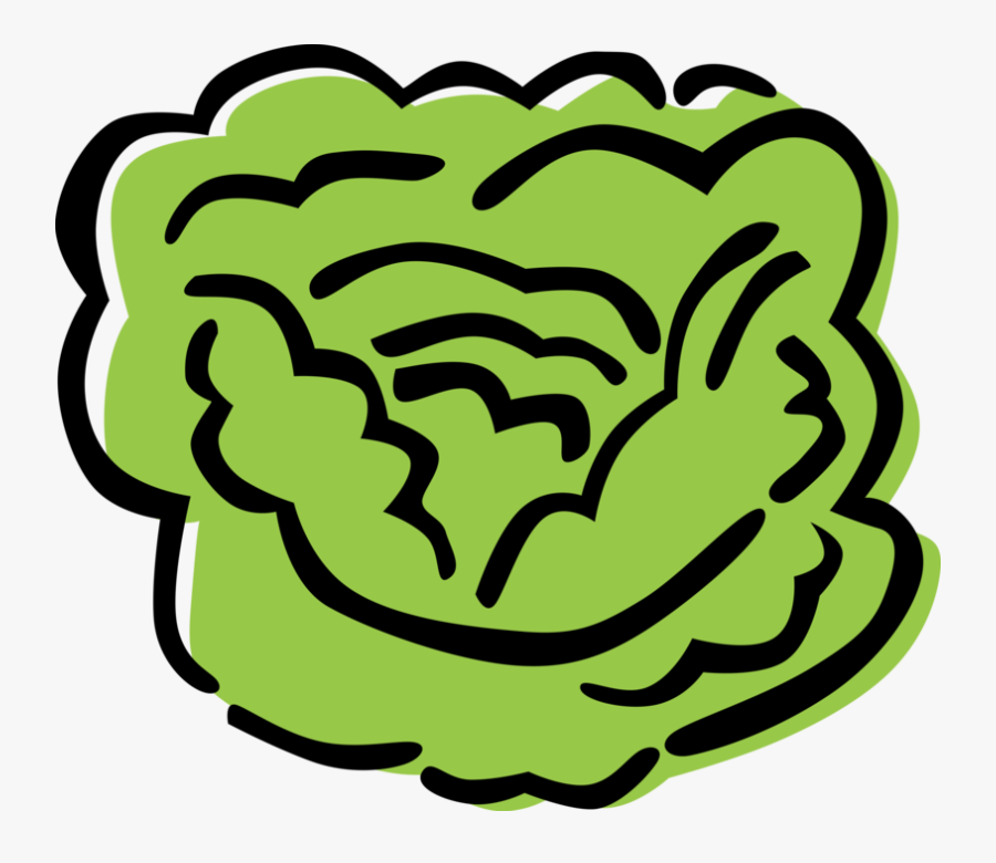 Lettuce Clipart Sliced Alface Vetor , Free Transparent Clipart