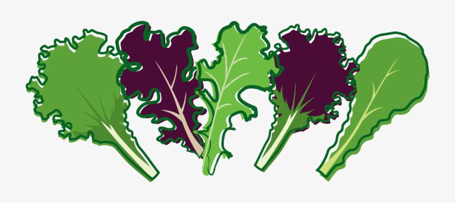 Organic Red Salad Bowl - Salad Leaf Clipart Png, Transparent Clipart