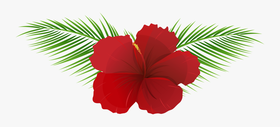 Exotic Flower Transparent Clip Art Imageu200b Gallery - Transparent Background Tropical Flowers Png, Transparent Clipart