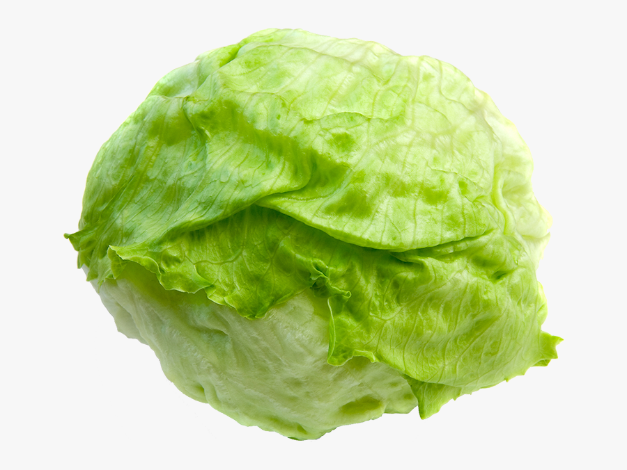 Transparent Lechuga Clipart - Iceberg Lettuce Transparent Background, Transparent Clipart