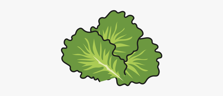 Lettuce Clipart Lettuce Slice - Collard Greens, Transparent Clipart