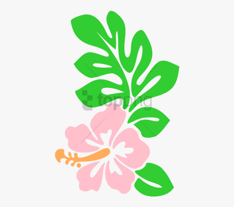 Free Png Hawaii Flower Cartoon Draw Hawaiian Flowers - Drawing Of A Hawaiian Flower, Transparent Clipart