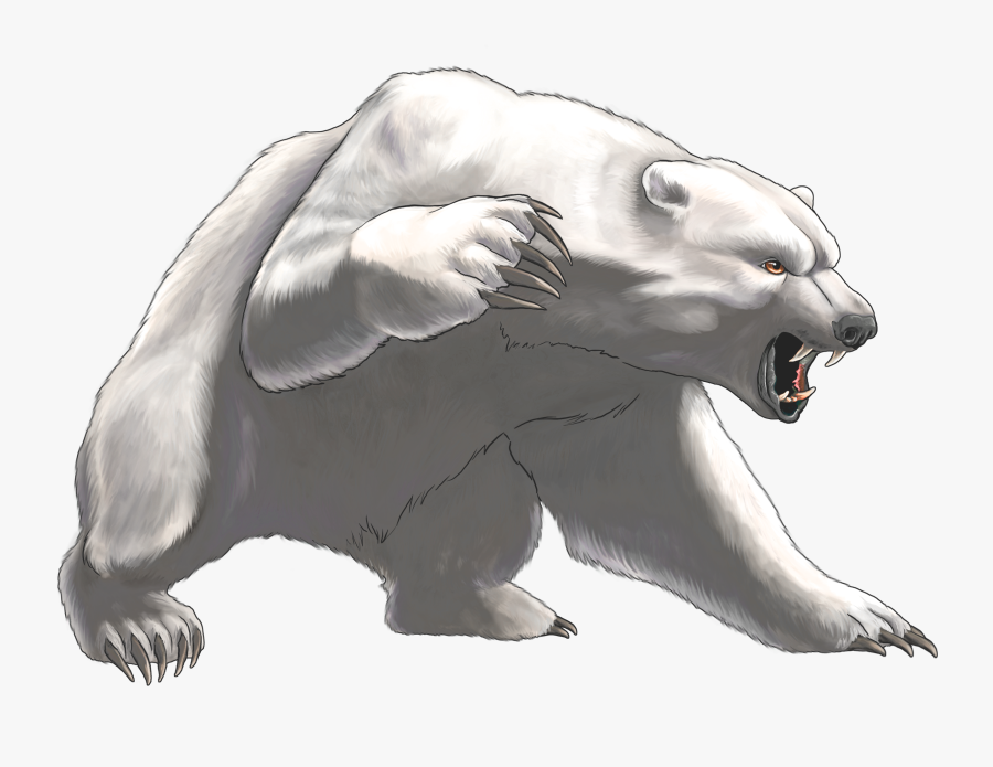 Angry White Bear Png Clipart - Angry Polar Bear Drawing, Transparent Clipart