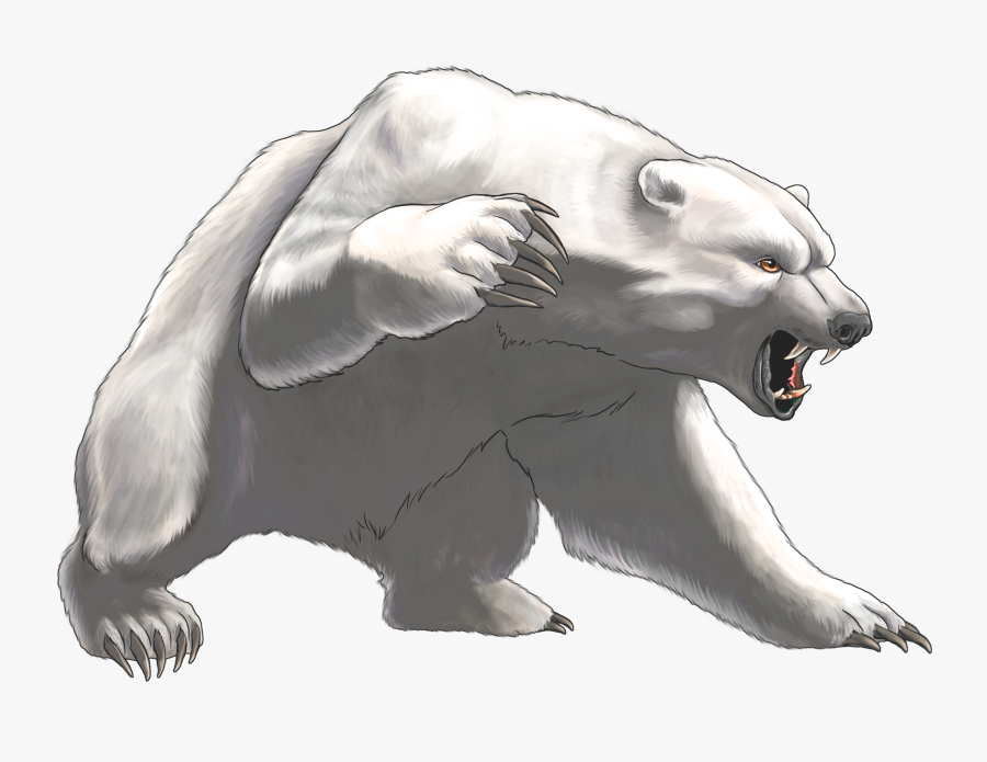 Angry White Bear Png Clipart - Angry Polar Bear Drawing , Free