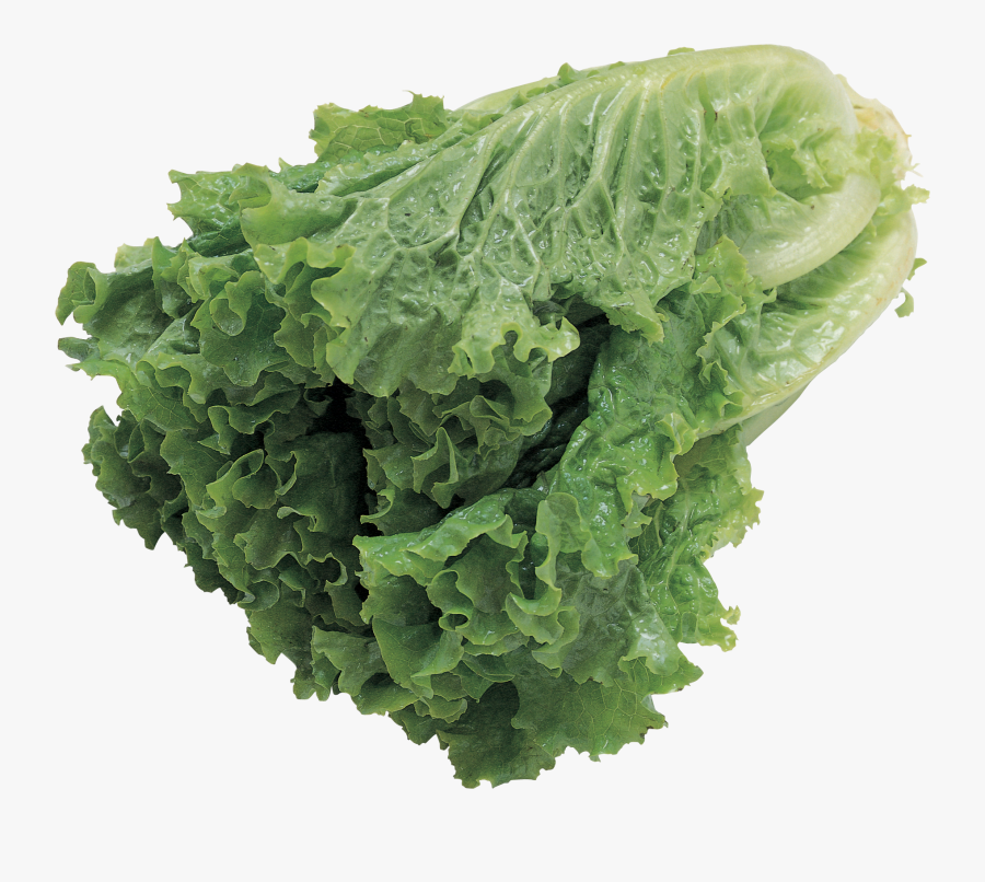 Salad Png Image, Transparent Clipart