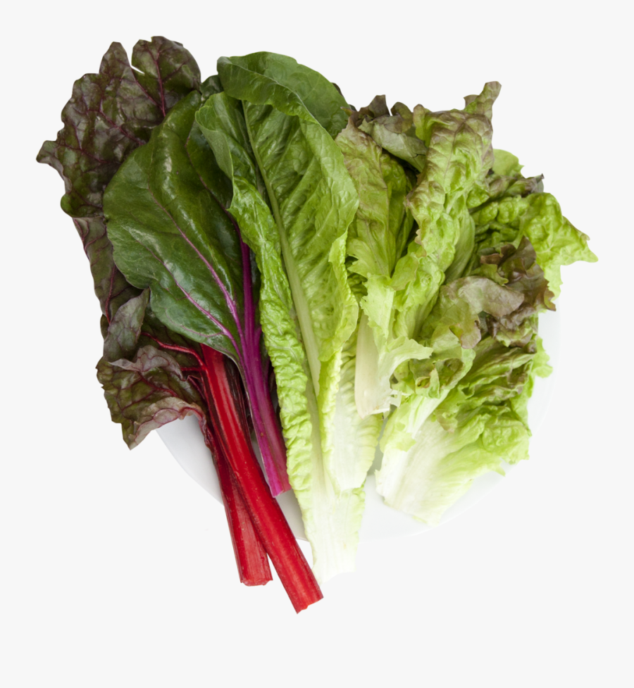 Shop Just Vertical - Chard, Transparent Clipart