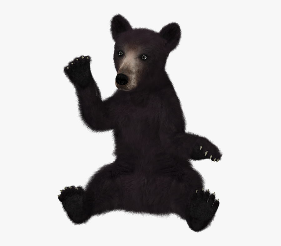 Black Bear Clipart 13, Buy Clip Art, Transparent Clipart