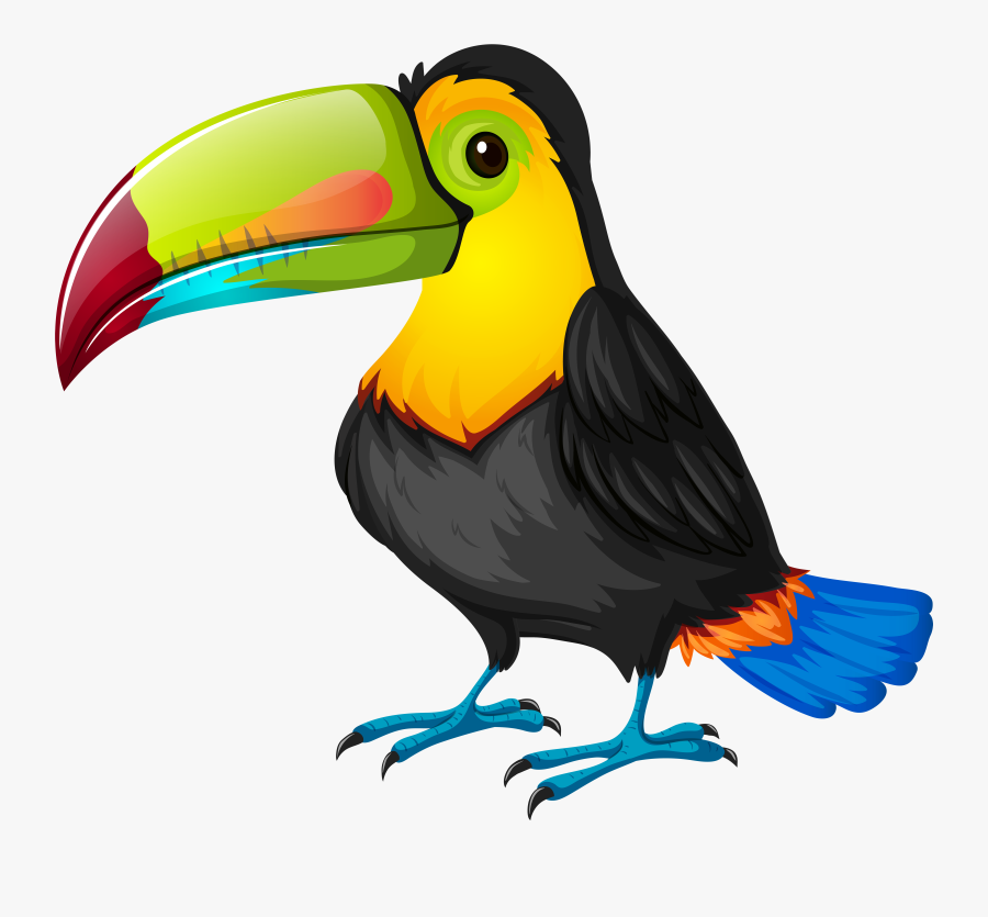 Toucan Cartoon Png Transparent - Toucan Clipart Png, Transparent Clipart