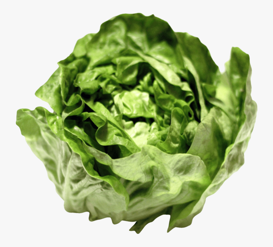 Clip Art Free Images Toppng Transparent - Lettuce Png, Transparent Clipart