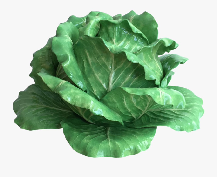 Butterhead Lettuce - Collard Greens, Transparent Clipart