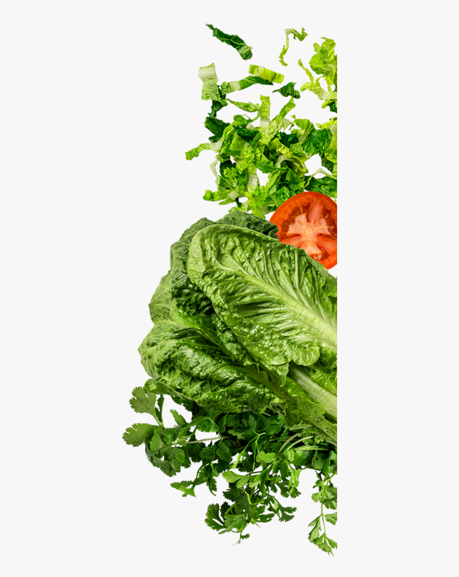 Handmade Tortillas Wheat And Flour - Vegetable Top View Png, Transparent Clipart