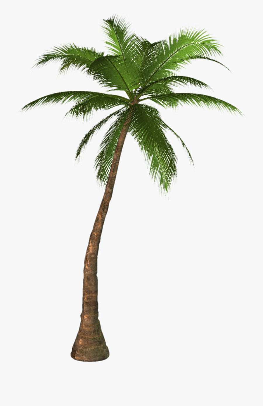Free Palm Tree Photo, Download Free Clip Art, Free - Palm Tree No Background, Transparent Clipart