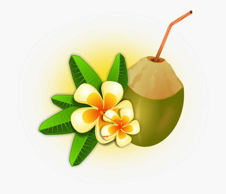 Transparent Fruit Of The Spirit Clipart - Palm Flower & Coconut Clipart, Transparent Clipart