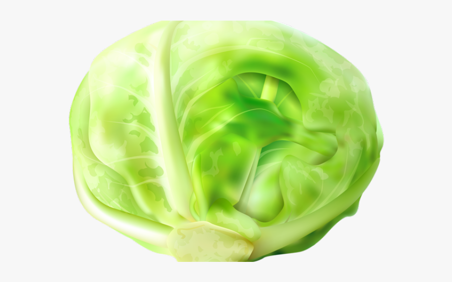 Cabbage Images Clip Art, Transparent Clipart