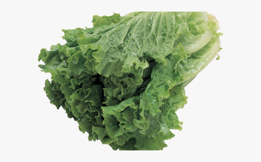 Lettuce Clipart Transparent Background - Green Salad Transparent Background, Transparent Clipart