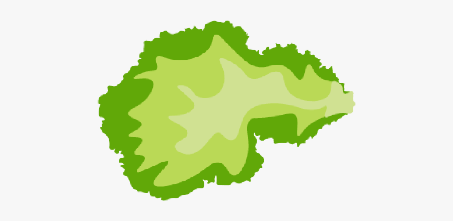 Responsive/skrollr Template - Sliced Lettuce Clipart Png, Transparent Clipart
