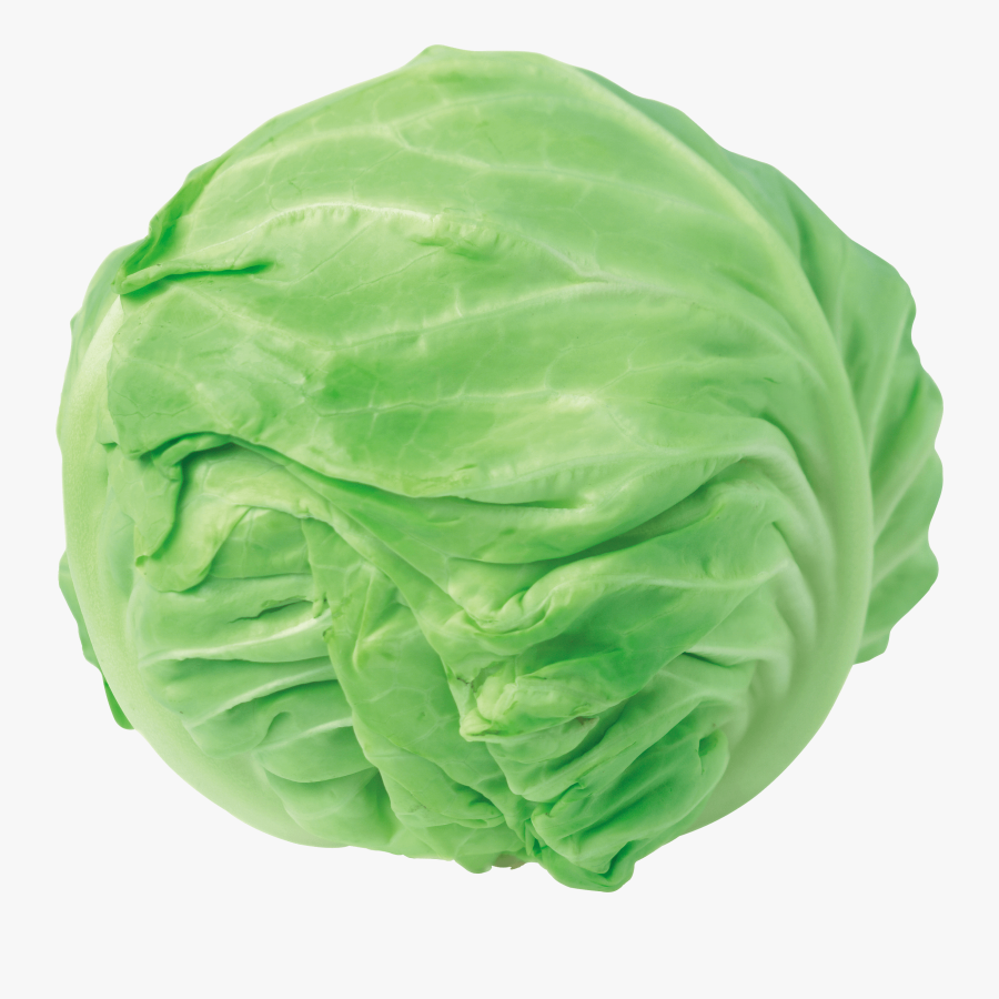 Clipart Cabbage - Cabbage Clipart Png, Transparent Clipart