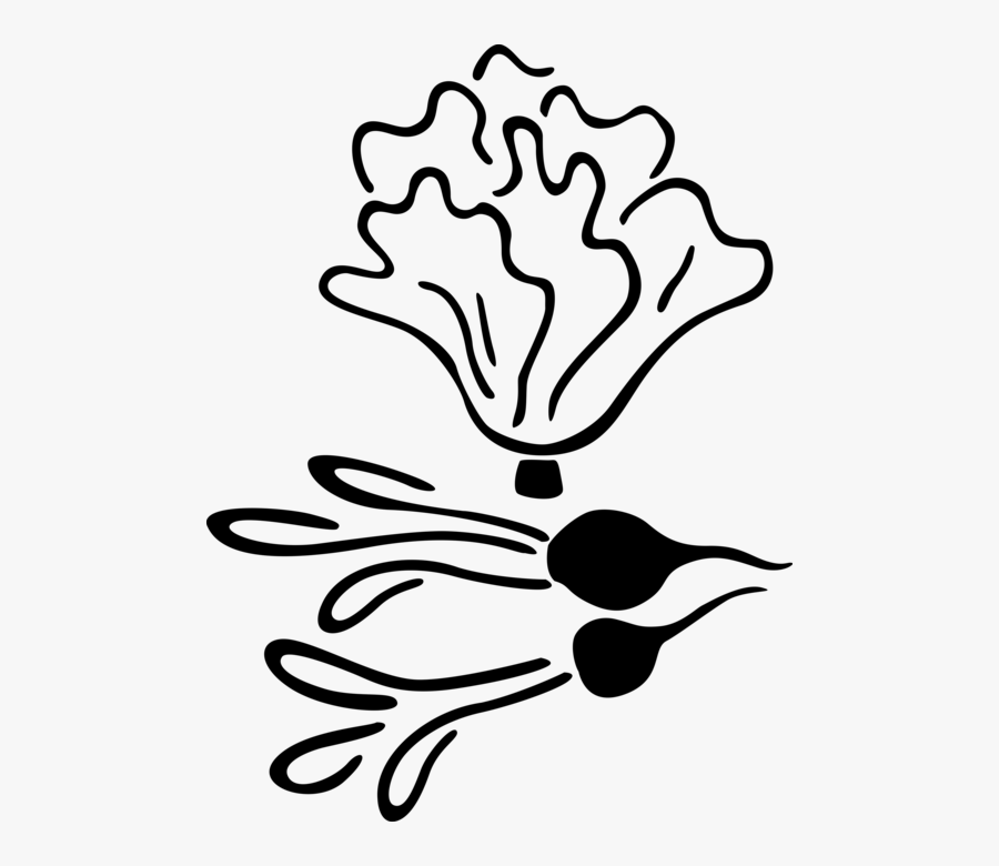 Radish Vegetables With, Transparent Clipart