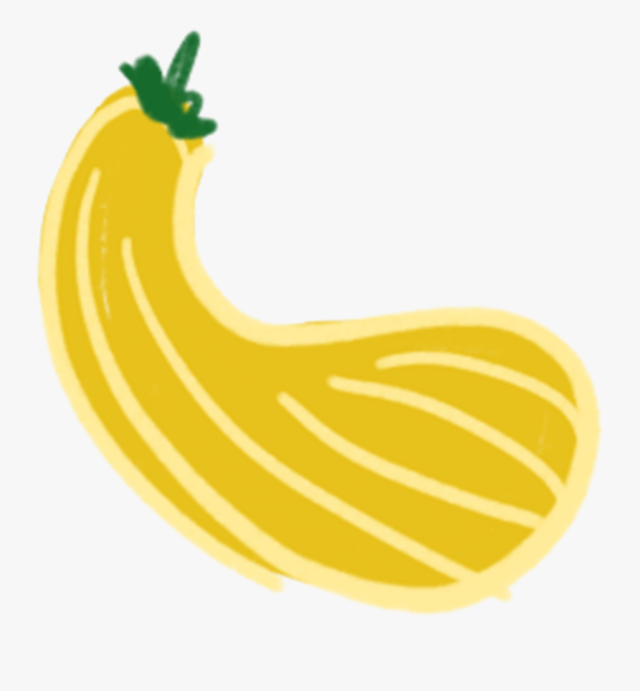 Summer Squash Clip Art, Transparent Clipart