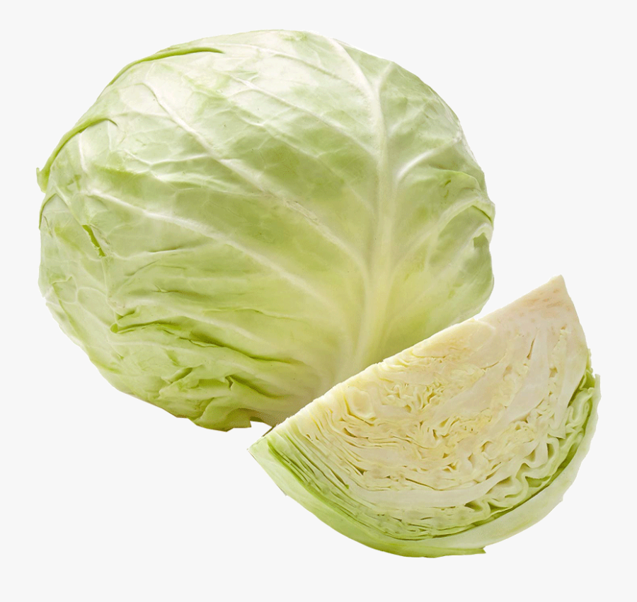 Cabbage 1 Kg Green Cabbage- - Green Cabbage, Transparent Clipart