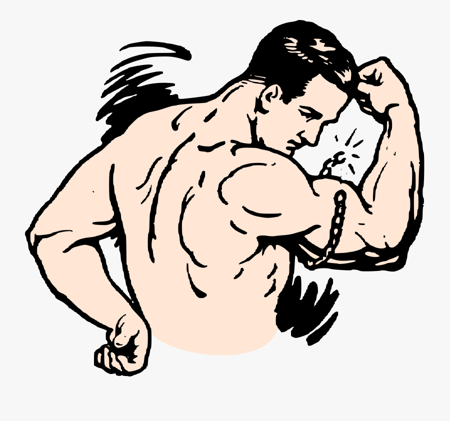 Clip Art Cartoon Muscle Arms - Muscular Clip Art, Transparent Clipart