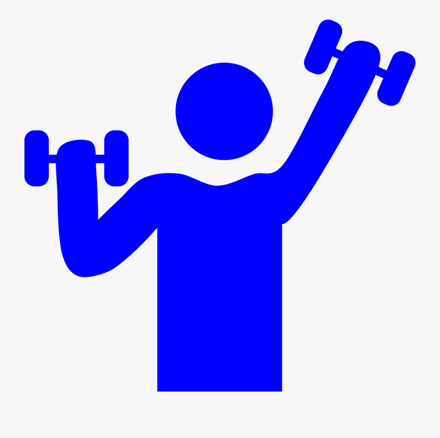 Health And Fitness Gym Weight Lifting Muscle - Gym Clipart, Transparent Clipart