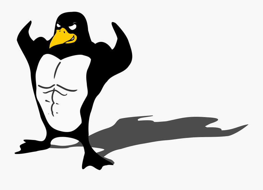 Transparent Pinguin Clipart - Penguin Bodybuilder, Transparent Clipart