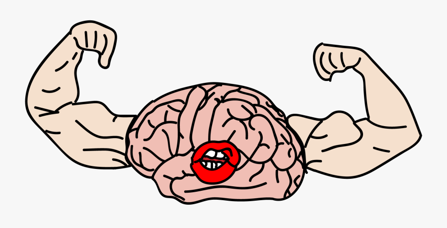 Brain Clipart Muscle - Clip Art, Transparent Clipart
