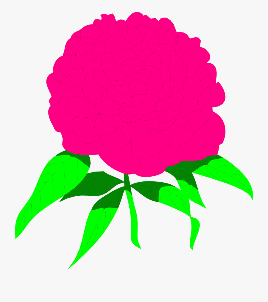 Elan - Clipart - Clip Art, Transparent Clipart