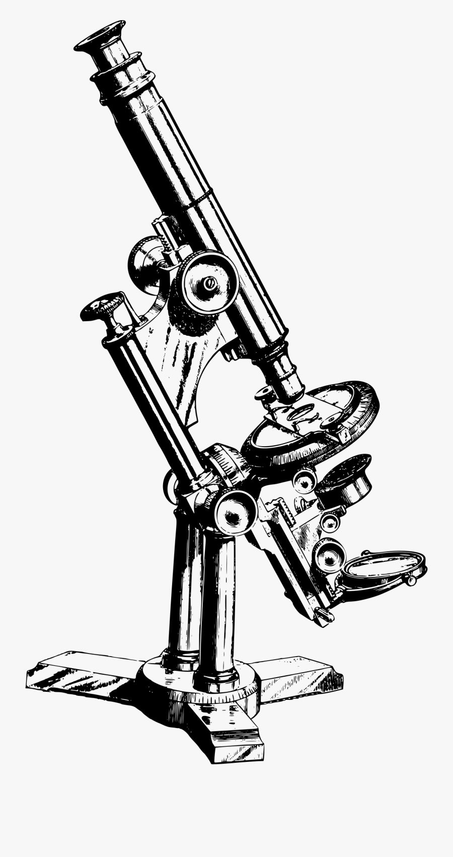 Binocular Microscope Drawing At Getdrawings - Old Microscope Drawing, Transparent Clipart