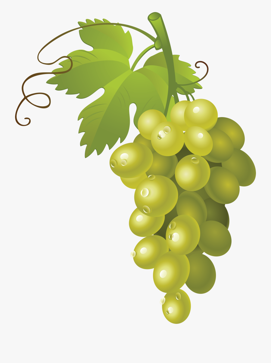 Transparent Background Grapes Clipart, Transparent Clipart