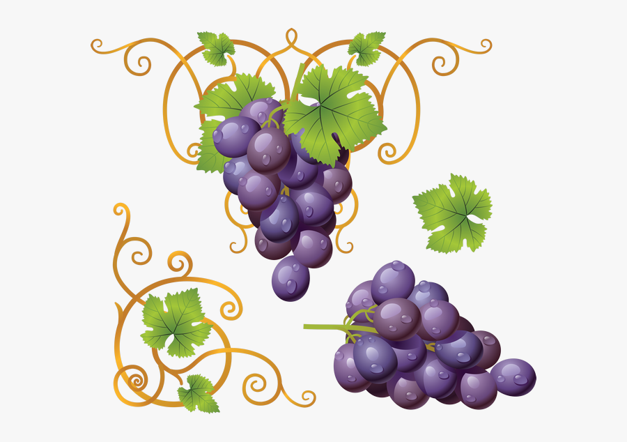 Transparent Background Grape Clipart, Transparent Clipart