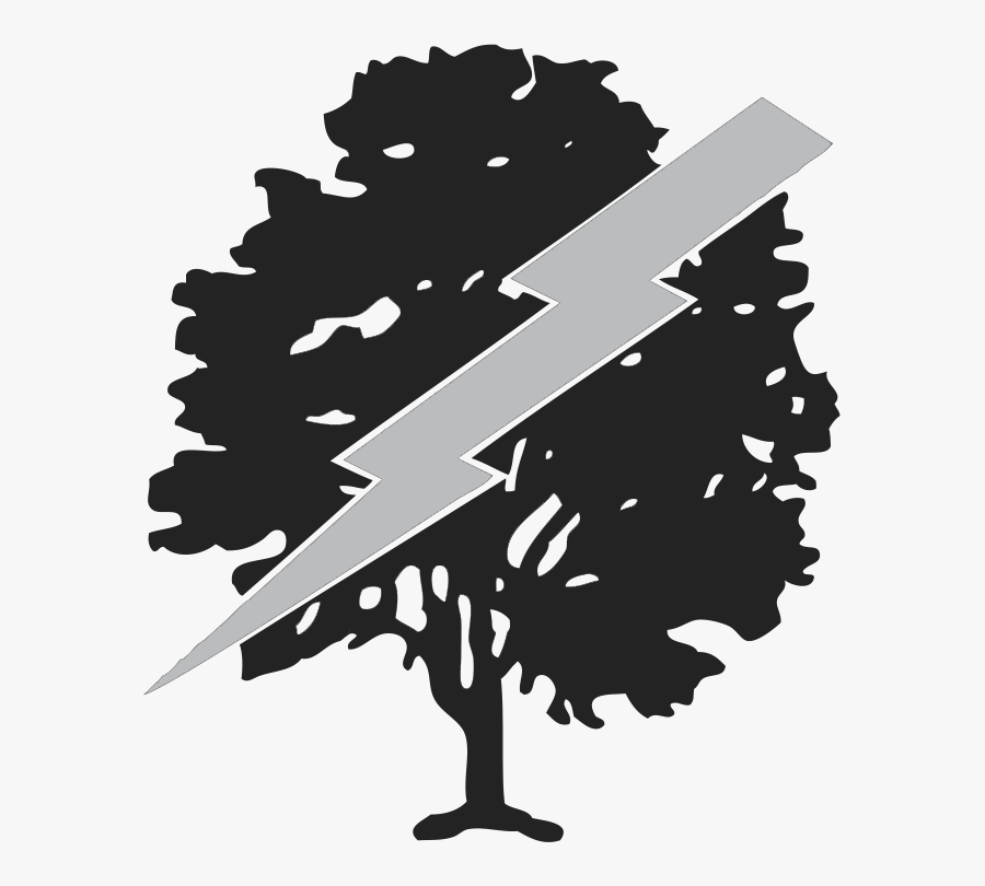 Littleton Storm And Timber Services, Inc - Illustration, Transparent Clipart